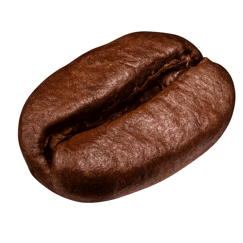 Coffee bean